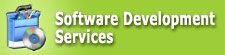 Software development services